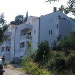 P9061562